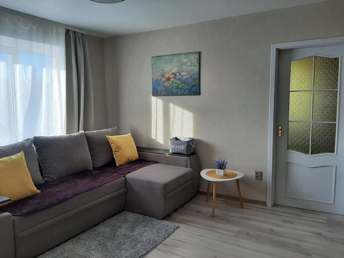 Ir Apartment Rēzekne Kültér fotó