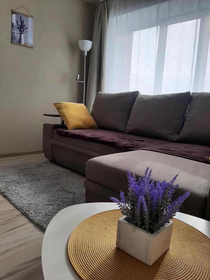 Ir Apartment Rēzekne Kültér fotó